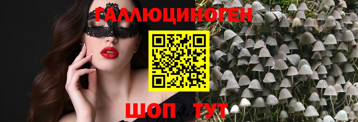 Псилоцибиновые грибы мицелий  Вход с VPN  Псилоцибиновые грибы GOLDEN TEACHER  Сухой Лог 