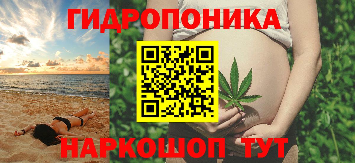 Конопля LSD WEED  Каннабис OG Kush  Сухой Лог  Шишки марихуана LSD WEED  МАРИХУАНА VHQ  Вход с VPN 